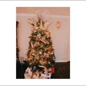 Meet your Posher, Mariam karapetyan